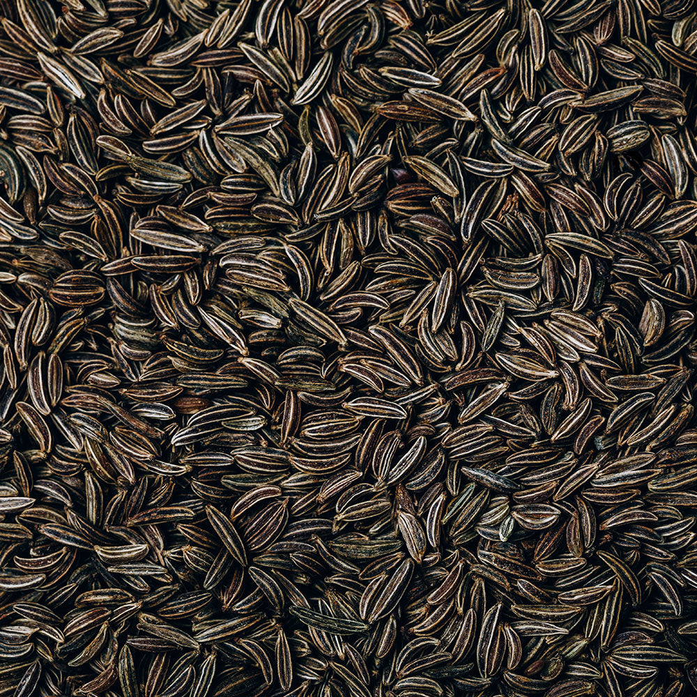 Black Cumin Seeds / Shah Jeera / Black Jeera