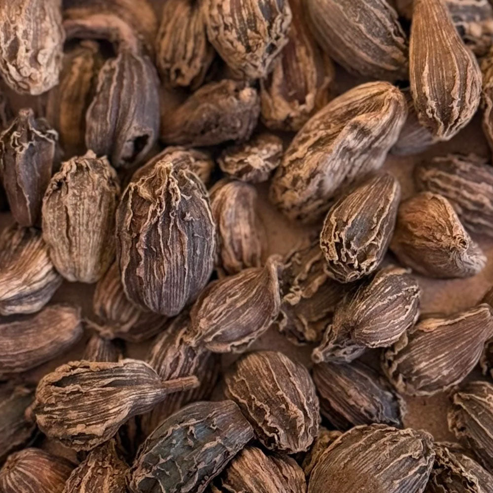 Cardamom Black / Kali Elaichi
