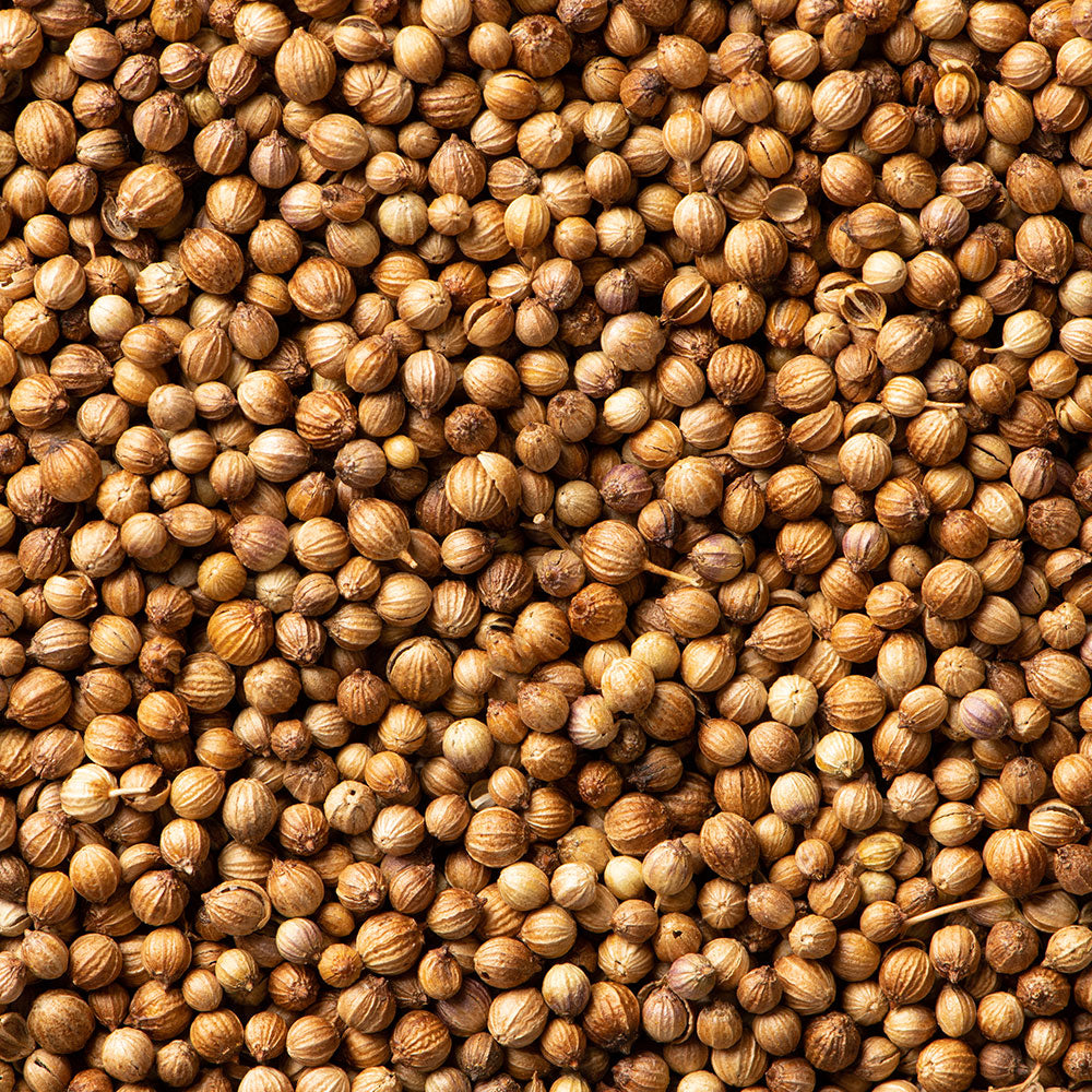 Coriander Seeds / Dhania
