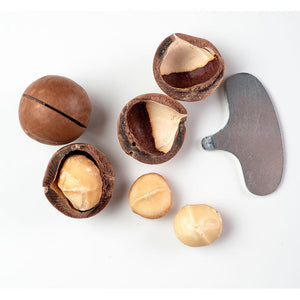 Shop Macadamia Nuts with shell in UAE (Dubai, Sharjah, Abu Dhabi, Ajman) - Mangoes.ae