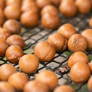 Shop Macadamia Nuts with shell in UAE (Dubai, Sharjah, Abu Dhabi, Ajman) - Mangoes.ae