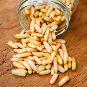 Shop Pine Seeds in UAE (Dubai, Sharjah, Abu Dhabi, Ajman) - Mangoes.ae