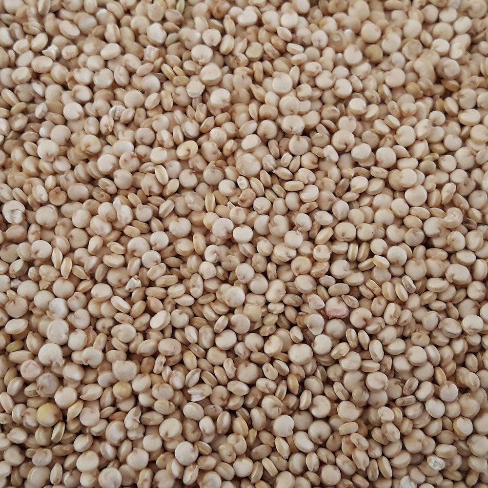 Shop Quinoa Seeds in UAE (Dubai, Sharjah, Abu Dhabi, Ajman) - Mangoes.ae
