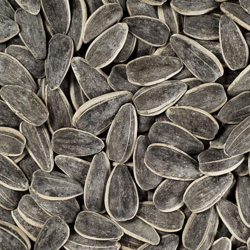 Shop Sunflower Seeds Roasted in UAE (Dubai, Sharjah, Abu Dhabi, Ajman) - Mangoes.ae
