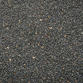 Basil Seeds