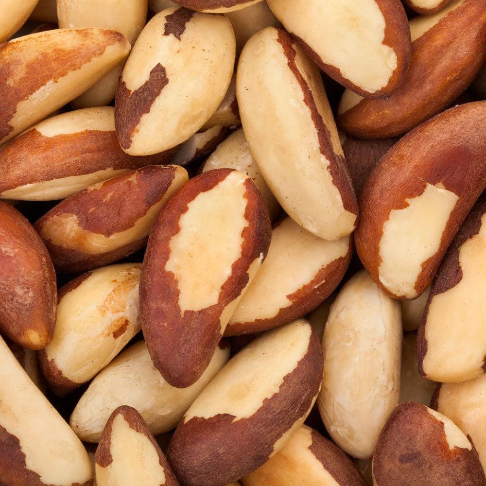 Shop Brazil Nuts in UAE (Dubai, Sharjah, Abu Dhabi, Ajman) - Mangoes.ae