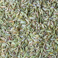 Fennel Seeds / Saunf