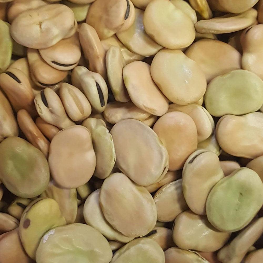 Shop Foul Bajalla (Dried Broad Beans) in UAE (Dubai, Sharjah, Abu Dhabi, Ajman) - Mangoes.ae