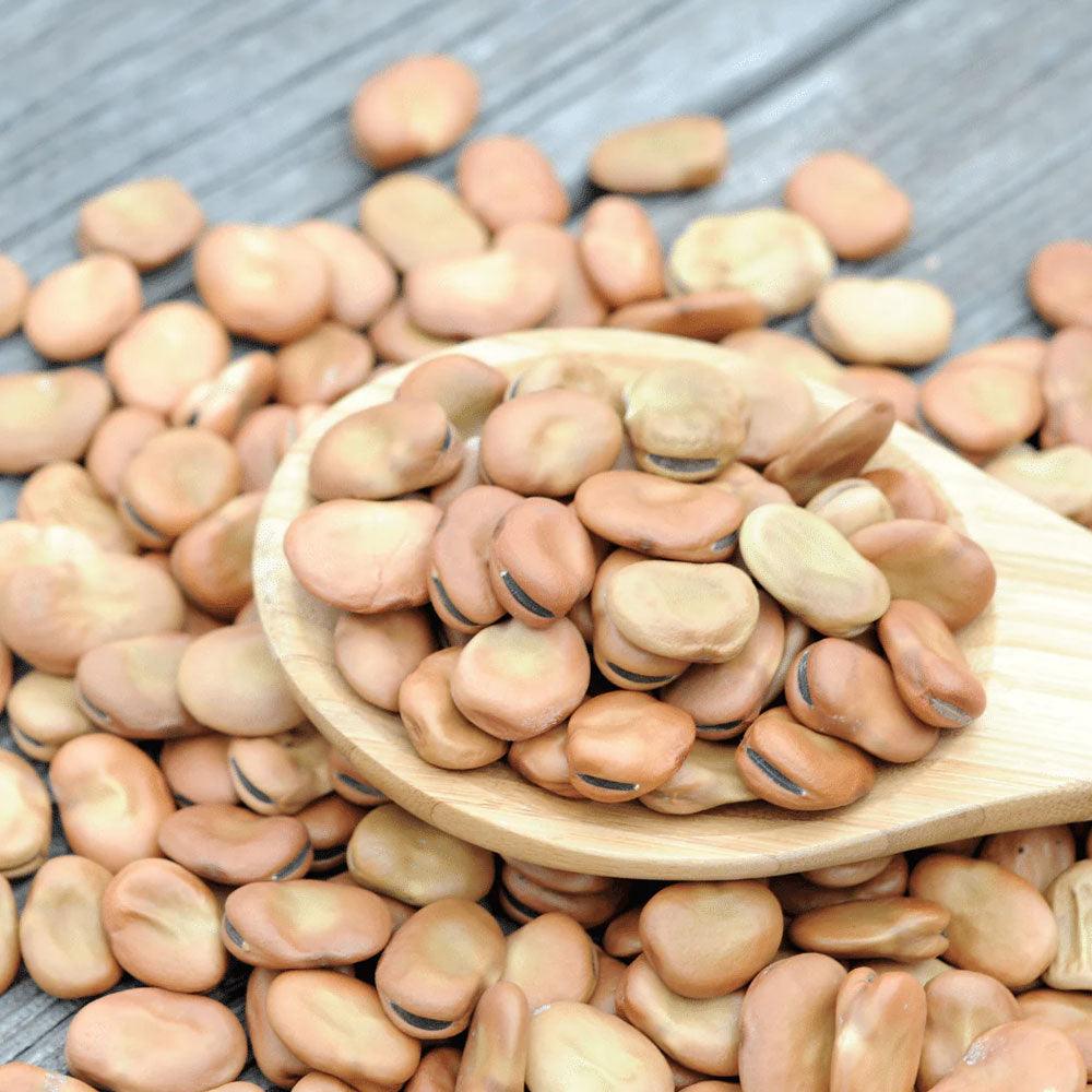 Shop Foul Bajalla (Dried Broad Beans) in UAE (Dubai, Sharjah, Abu Dhabi, Ajman) - Mangoes.ae