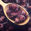 Hibiscus Karkade