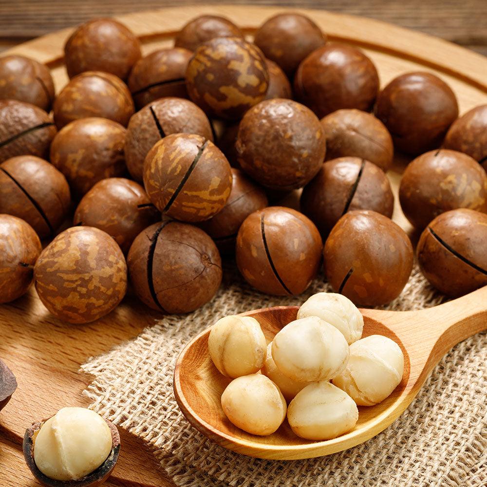 Shop Macadamia Nuts with shell in UAE (Dubai, Sharjah, Abu Dhabi, Ajman) - Mangoes.ae