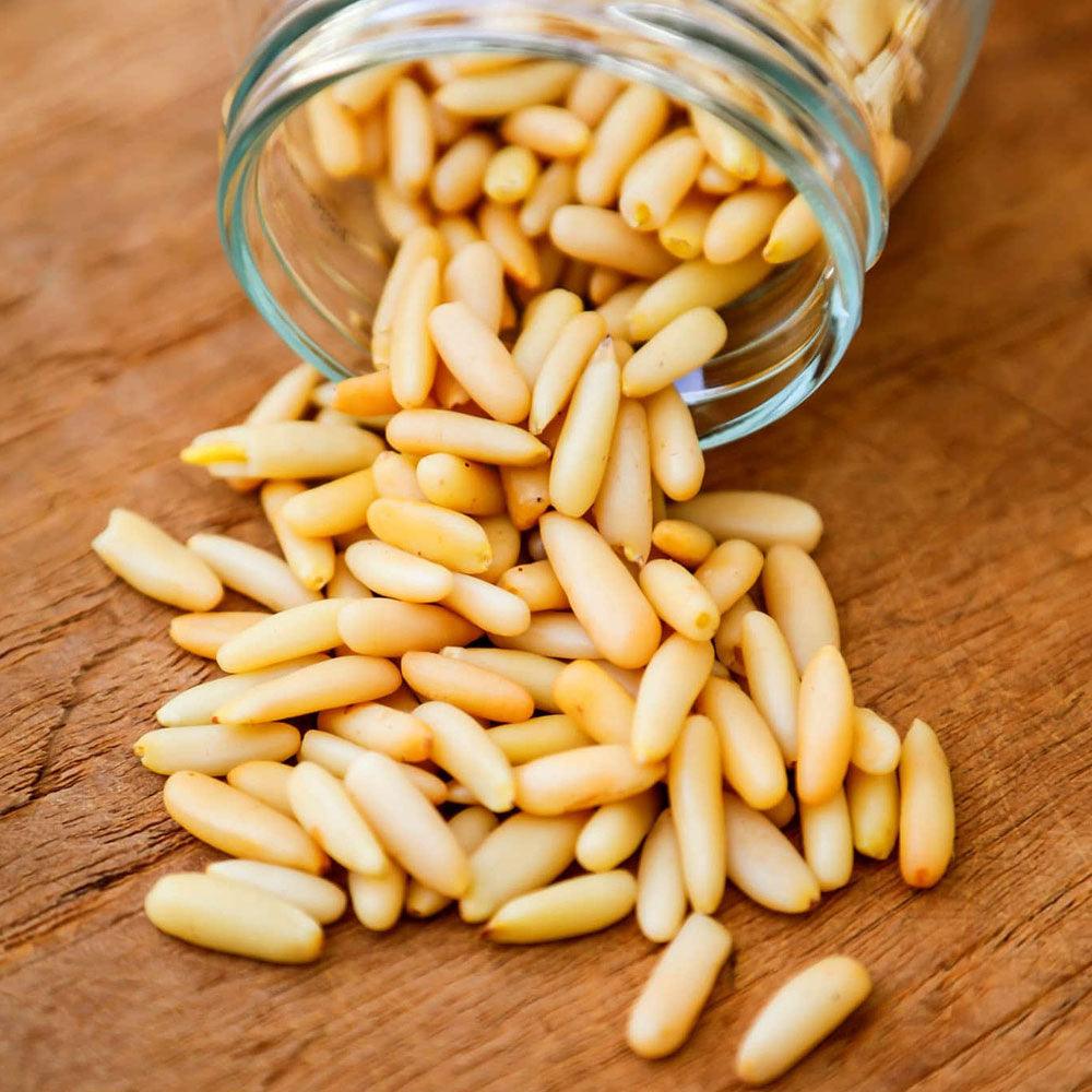 Shop Pine Seeds in UAE (Dubai, Sharjah, Abu Dhabi, Ajman) - Mangoes.ae
