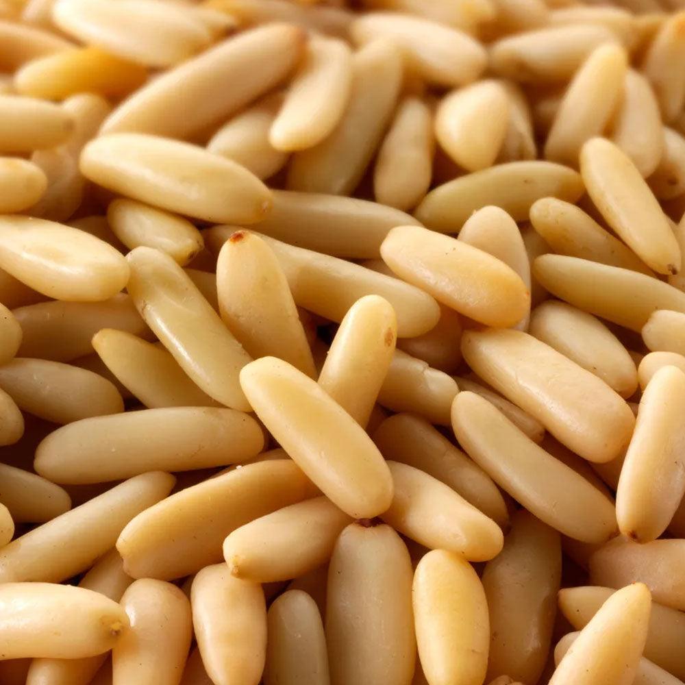 Shop Pine Seeds in UAE (Dubai, Sharjah, Abu Dhabi, Ajman) - Mangoes.ae