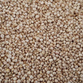 Shop Quinoa Seeds in UAE (Dubai, Sharjah, Abu Dhabi, Ajman) - Mangoes.ae