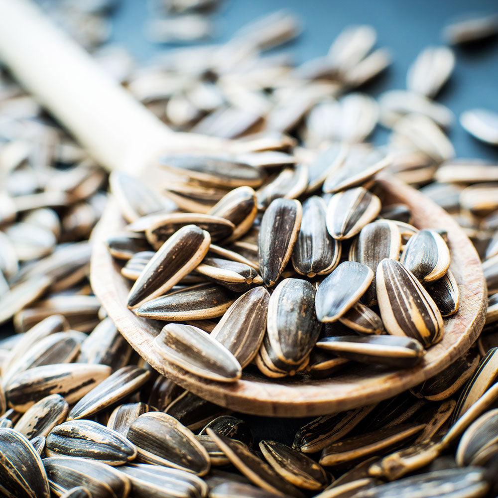 Shop Sunflower Seeds Roasted in UAE (Dubai, Sharjah, Abu Dhabi, Ajman) - Mangoes.ae