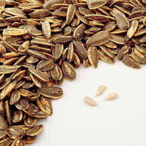 Shop Sunflower Seeds BBQ Flavored in UAE (Dubai, Sharjah, Abu Dhabi, Ajman) - Mangoes.ae