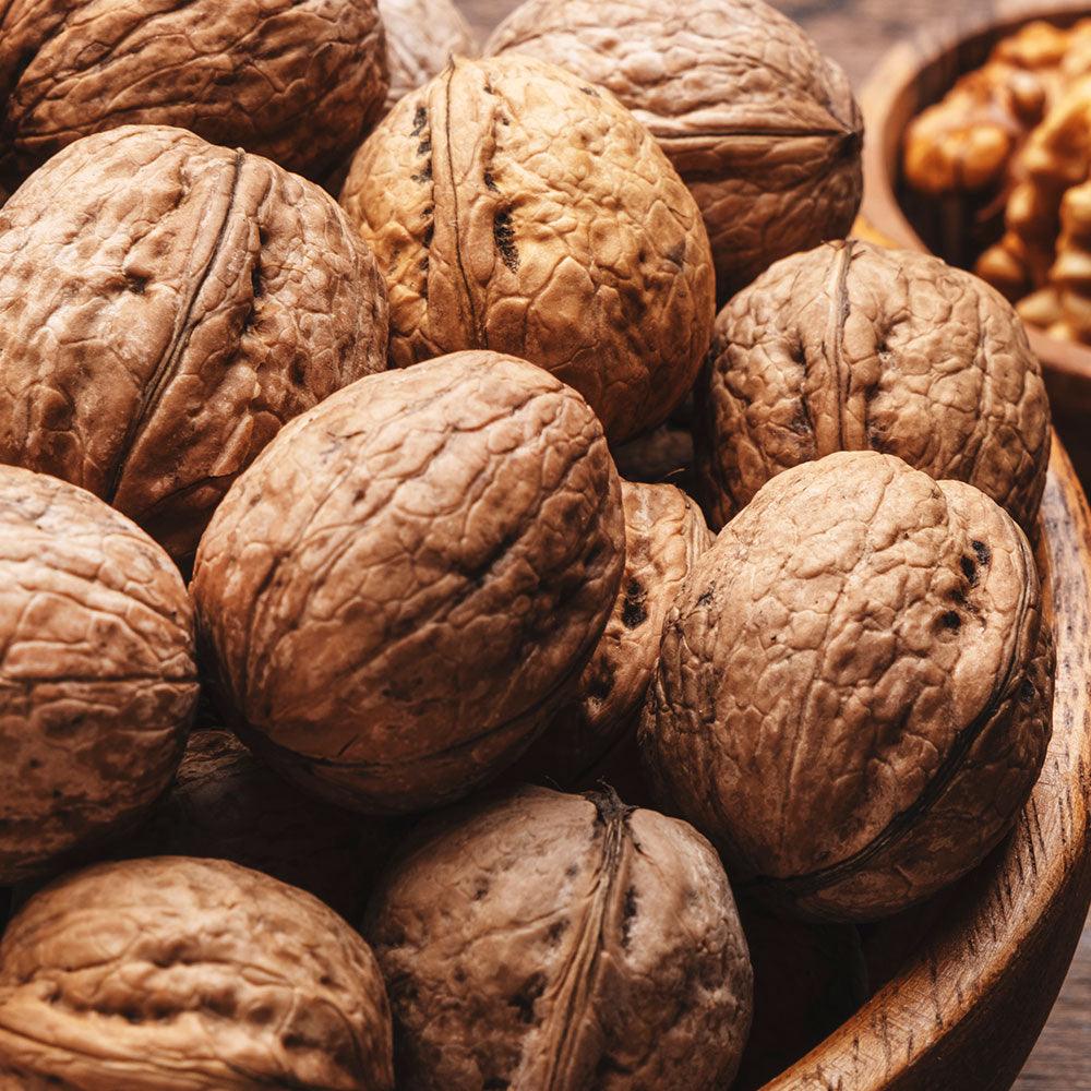 Shop Walnuts with Shell Jumbo in UAE (Dubai, Sharjah, Abu Dhabi, Ajman) - Mangoes.ae