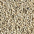Shop White Pepper Whole in UAE (Dubai, Sharjah, Abu Dhabi, Ajman) - Mangoes.ae