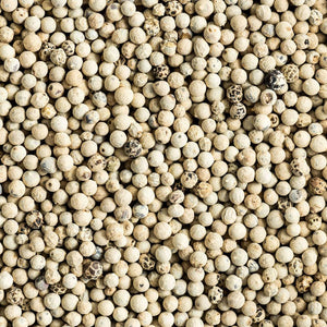 Shop White Pepper Whole in UAE (Dubai, Sharjah, Abu Dhabi, Ajman) - Mangoes.ae